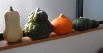 kabocha.JPG