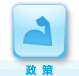 政策
